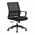 Sedia Ergonomica Ufficio con Supporto Lombare e Altezza Regolabile