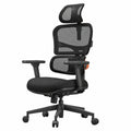 Sedia da Ufficio Ergonomica Newtral NT001 con Supporto Lombare e Braccioli Regolabili