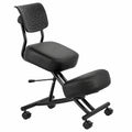 Sedia Ergonomica Regolabile con Supporto Lombare e Ruote Bloccabili