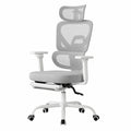 Sedia Ergonomica da Ufficio WOLTU con Braccioli e Poggiatesta 3D, Regolabile in Tessuto a Rete Grigio